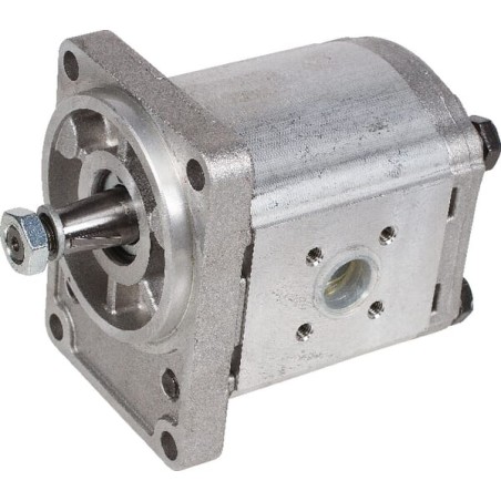 Motoreductor PLM20.20R0-54B2