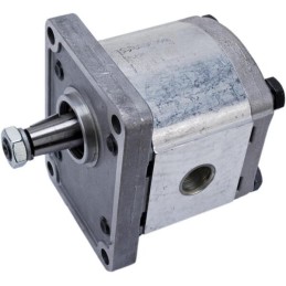 Pompă PLP20.8 D0-82E2-LGD/GD-N-