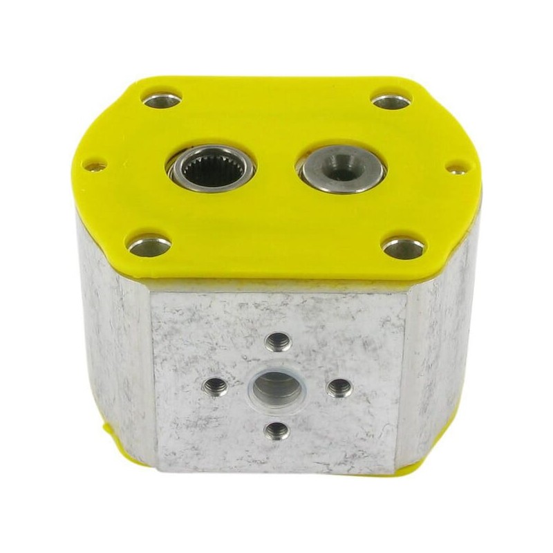 Secţiune pompă PLP20.11,2D0-86-S6-LEA/EA-N-I-FS