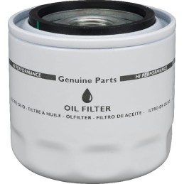 Filtru ulei motor
