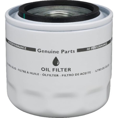 Filtru ulei motor