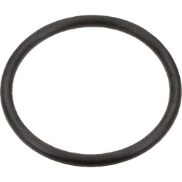 O-ring Case IH