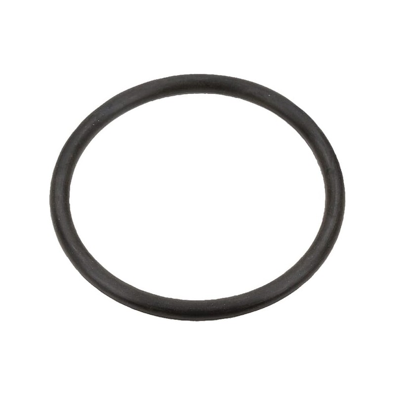 O-ring Case IH