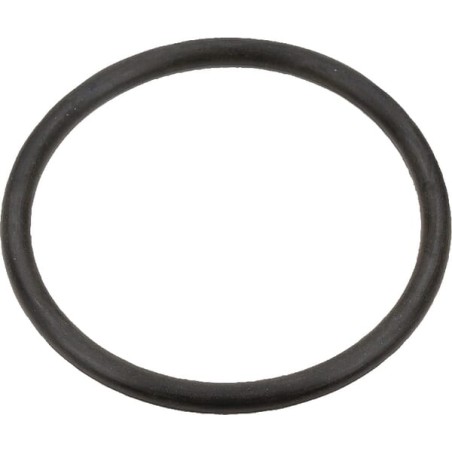 O-ring Case IH