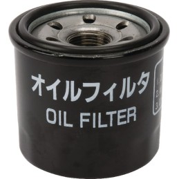 Filtru ulei motor