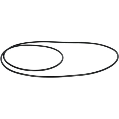 O-ring