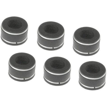 Garnitură supapă Vapormatic (x6)