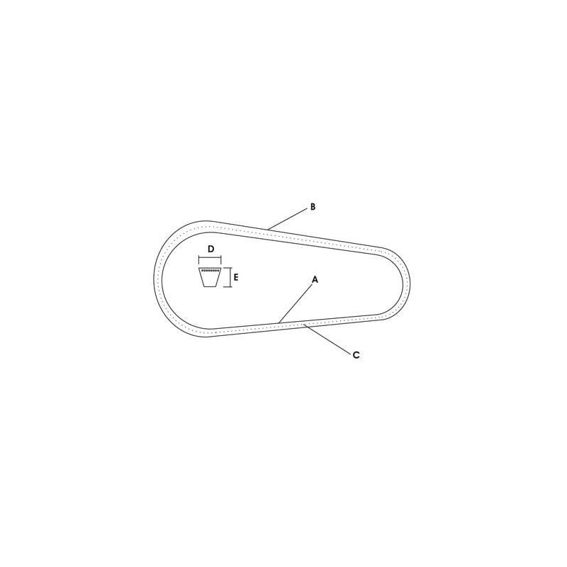 Set curea de transmisie Vapormatic (x4)