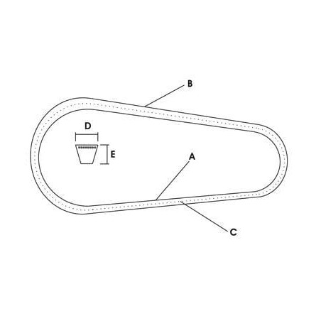 Set curea de transmisie Vapormatic (x4)