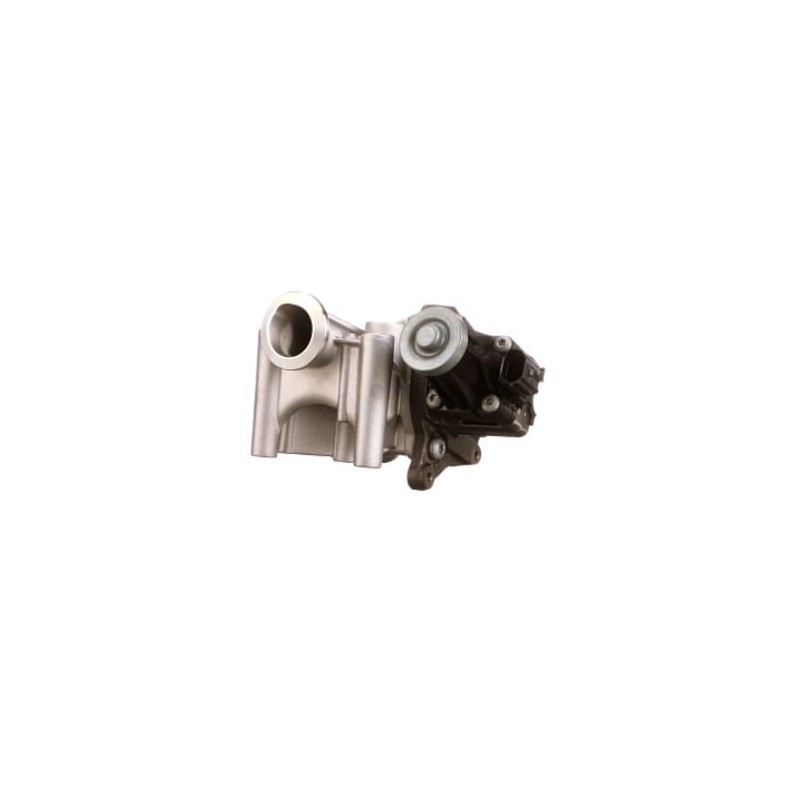 Supapă EGR 