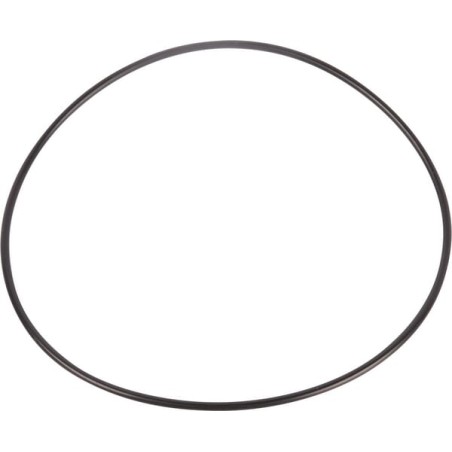 O-ring