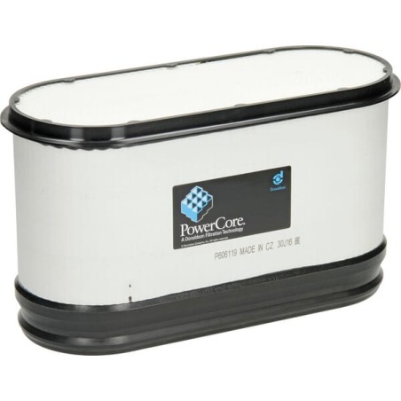 Filtru aer exterior Donaldson