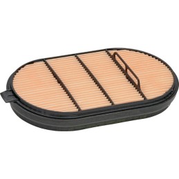 Protecție filtru de aer
