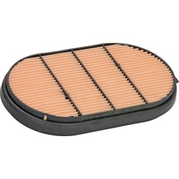 Protecție filtru de aer