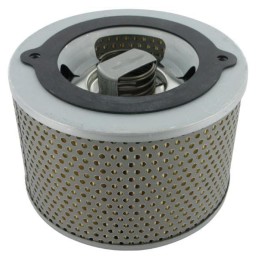 Filtru hidraulic Argo