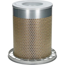 Filtru de aer exterior Donaldson