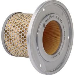 Filtru de aer interior Donaldson