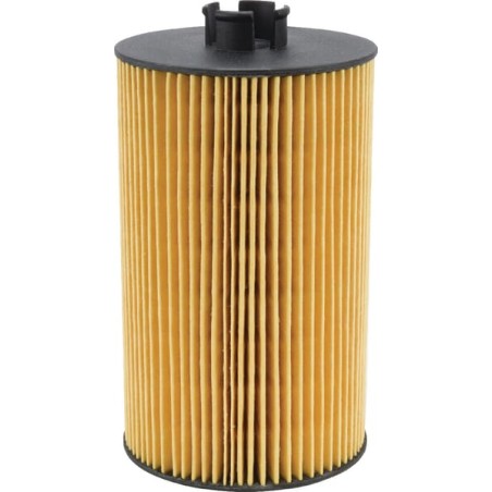 Filtru ulei motor, SDF