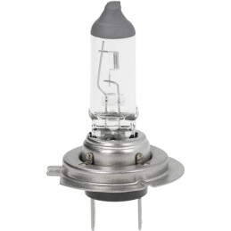 Bec H7 PX26d 12V 55W Kramp