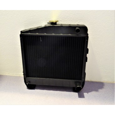 Radiator apa Case 3145498R93