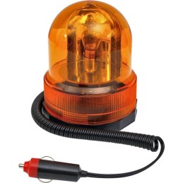 Flash 12V economic