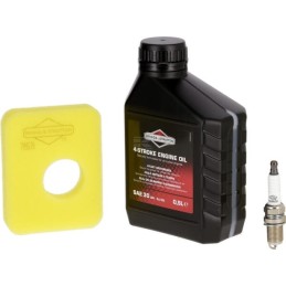 Kit de întreținere Briggs & Stratton Seria 450E, 500E