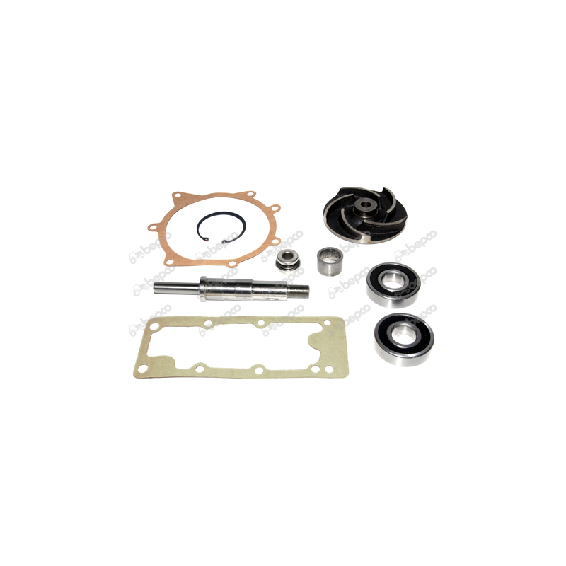 Kit reparatie pompa apa Landini U7LW0015