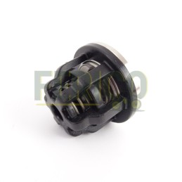 Supapa pompa de erbicidat UDOR UD600677