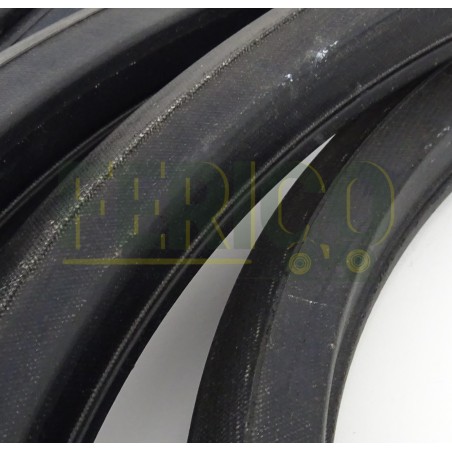 Curea Case IH 181055C1, 87476486, 22x5160