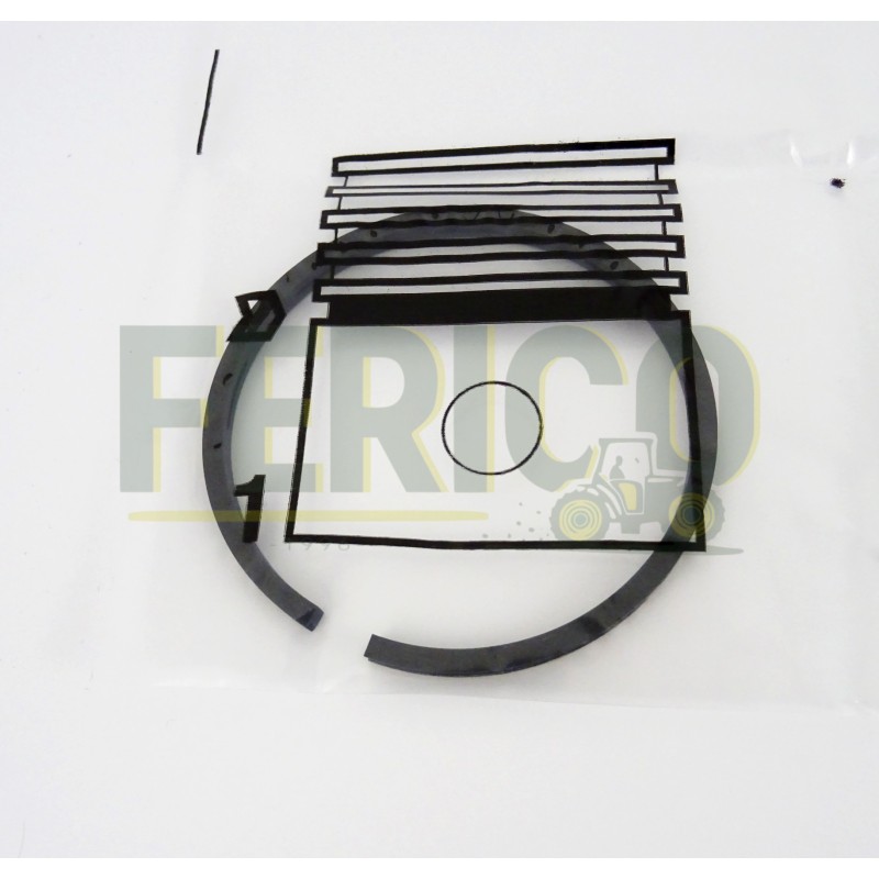 Set segmenti piston Case IH 3050149R91 Set segmenti piston Case IH 3050149R91